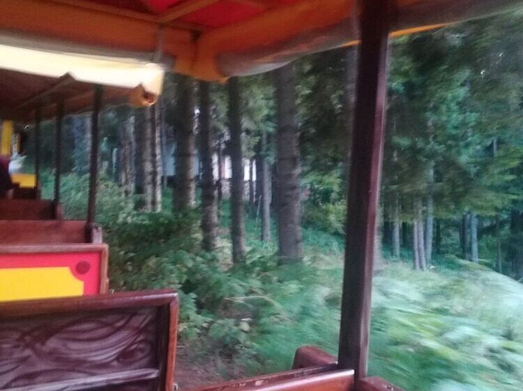 هتل Royal Mountain