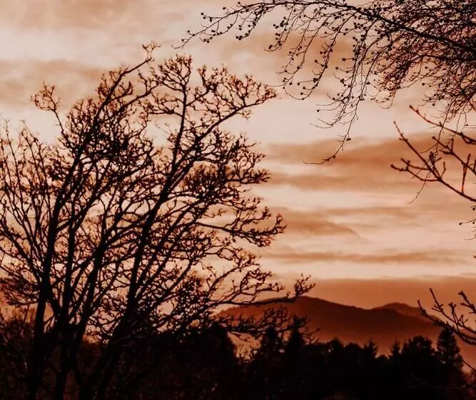 Luxurious Mountain Retreat Lodge Hunters Quay