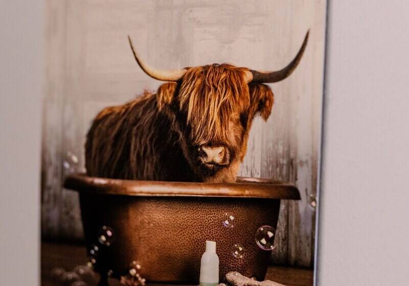 Luxurious Mountain Retreat Lodge Hunters Quay