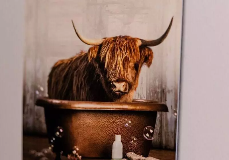 Luxurious Mountain Retreat Lodge Hunters Quay