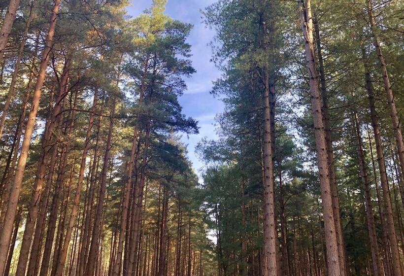 Manor House Mews   Rustic Stable Conversion
