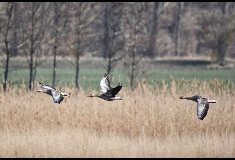 A House To Stay For Holidays