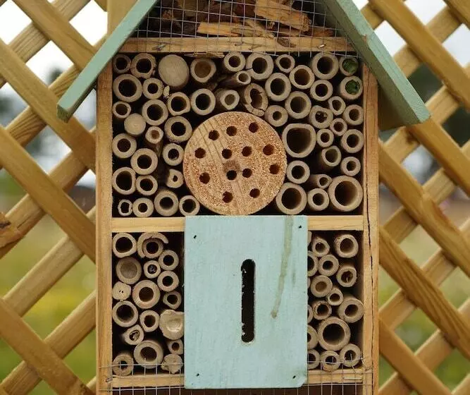 Hotelli Hollicarrs Holiday Park   Hares Leap