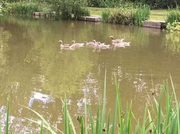 Hotelli Hollicarrs Holiday Park   Hares Leap