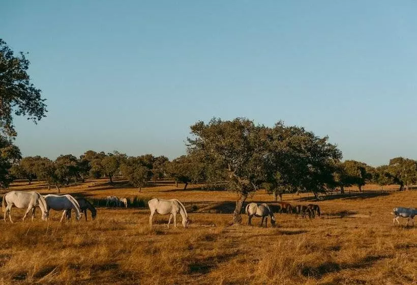 田舎風ホテル Herdade Da Caniceira