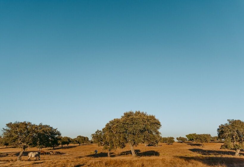 هتل روستایی Herdade Da Caniceira