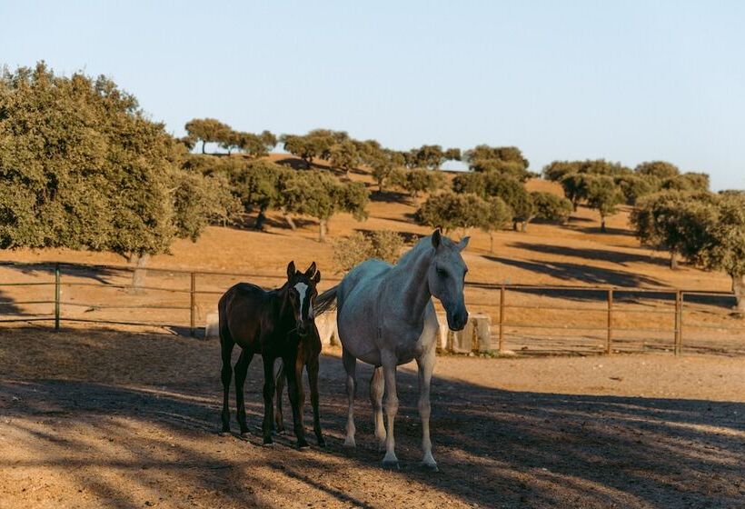 هتل روستایی Herdade Da Caniceira