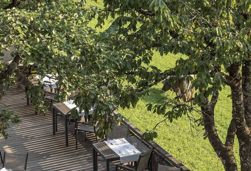 Naturhotel Saalerwirt