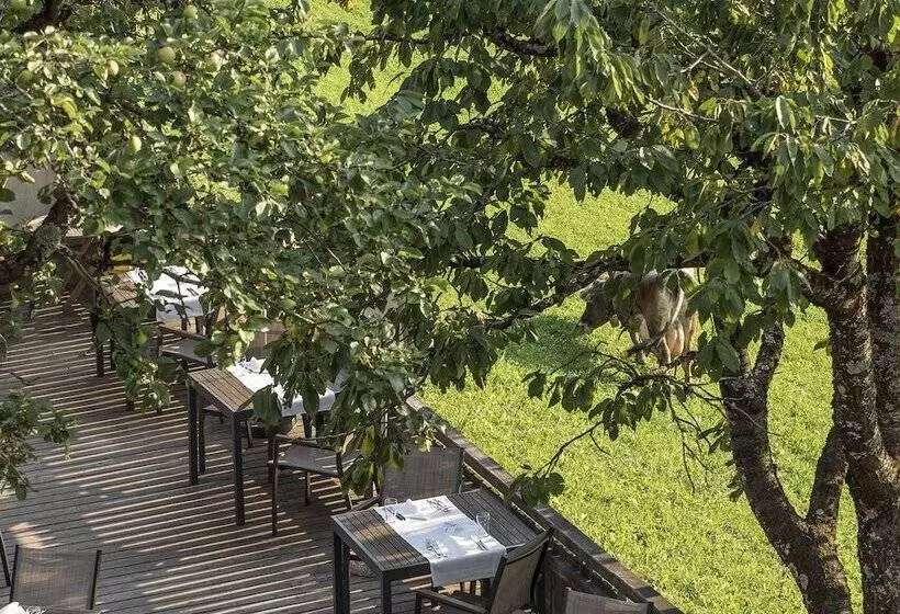 Naturhotel Saalerwirt