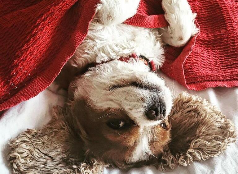 Пансион Little Robin Gate Free Parking Central 10 Min Walk To Train Station