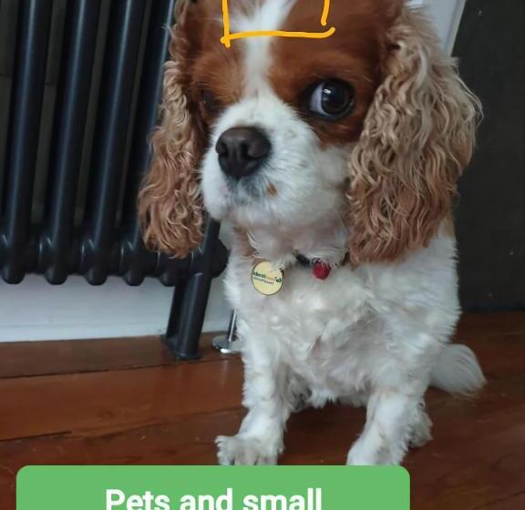 Пансион Little Robin Gate Free Parking Central 10 Min Walk To Train Station