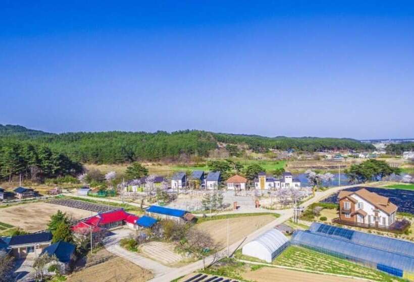 Gangneung Solbit Pension