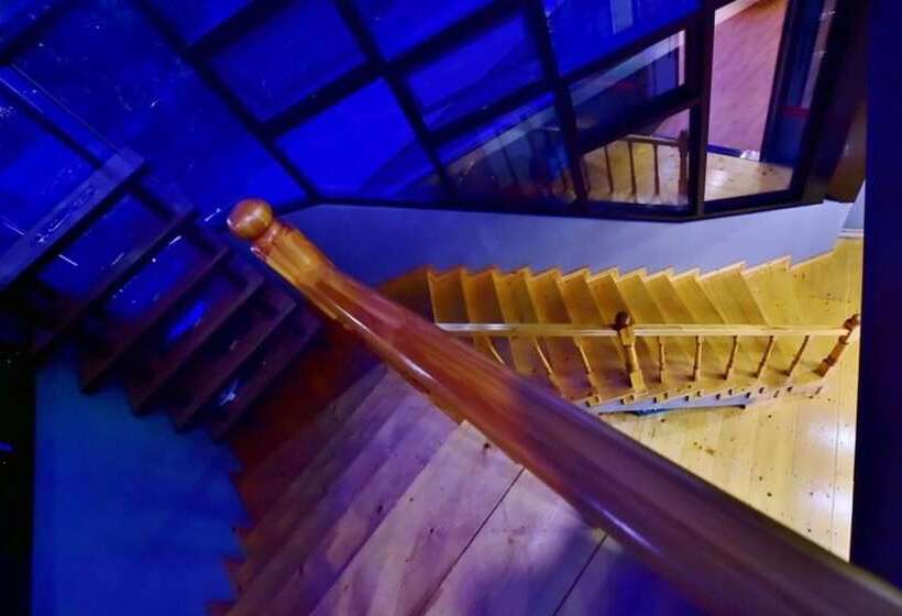 Gyeryongsan Donghaksa Toranga Pension