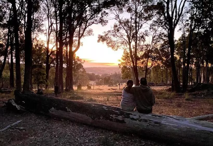 ホテル Serenity Gully