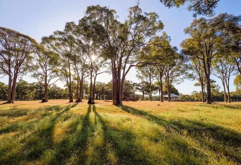 ホテル Serenity Gully