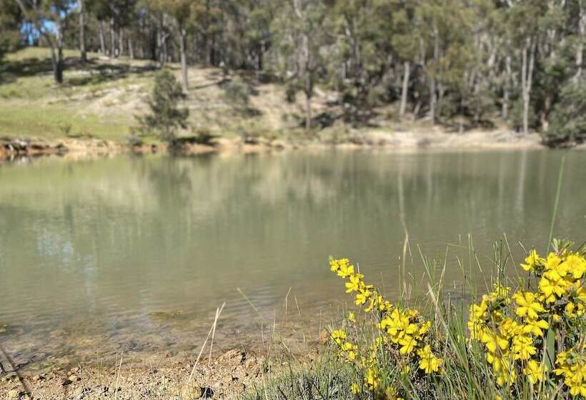 호텔 Serenity Gully