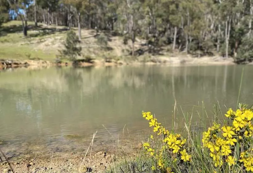 ホテル Serenity Gully