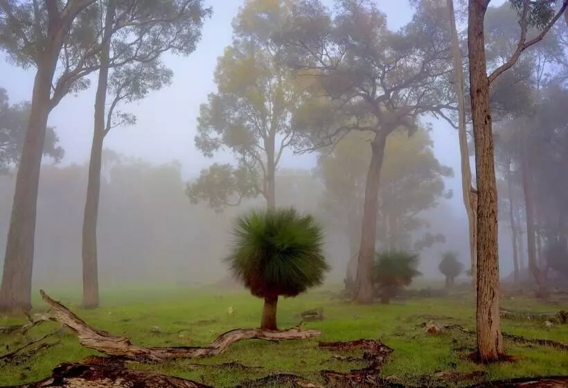 ホテル Serenity Gully