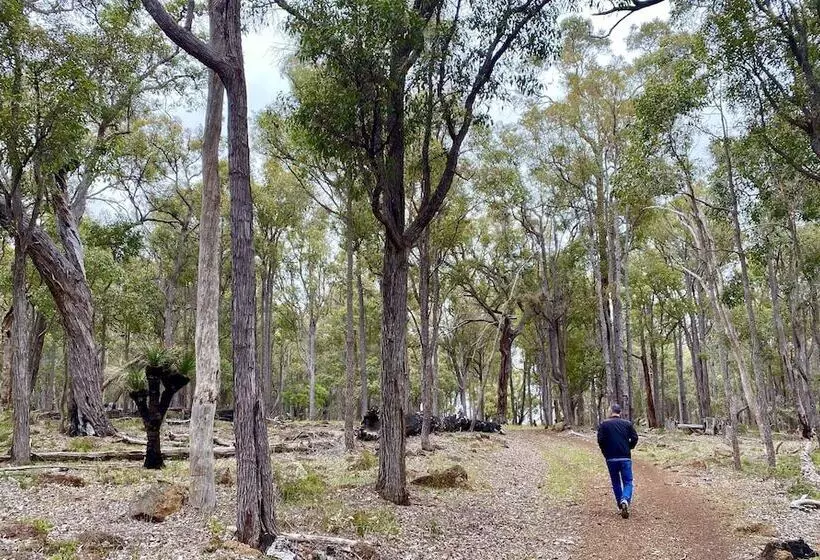 ホテル Serenity Gully