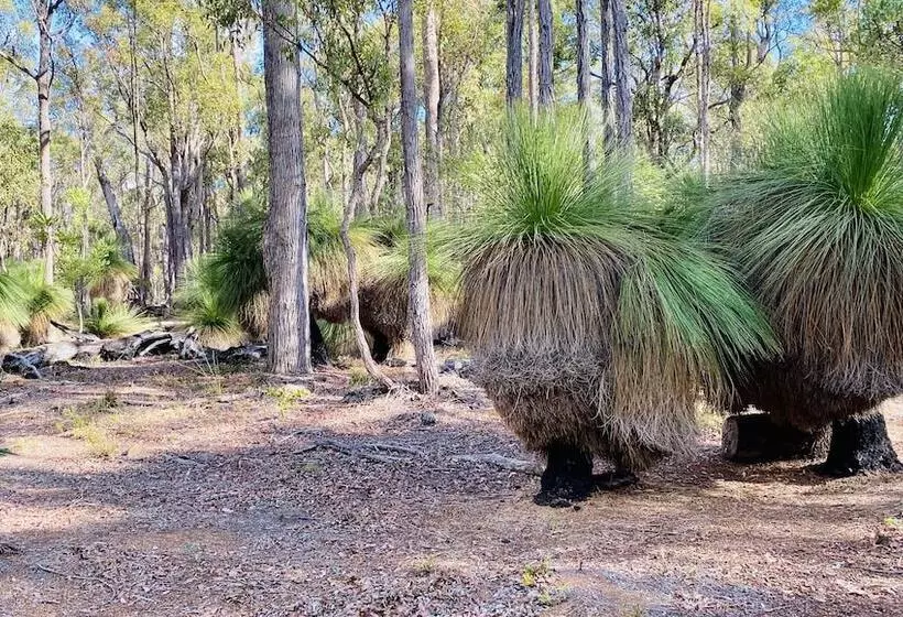 ホテル Serenity Gully