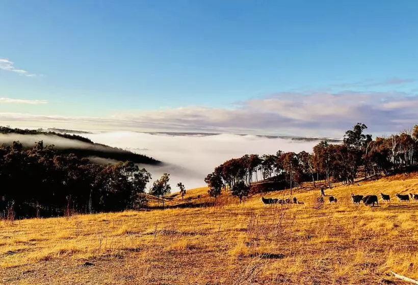 ホテル Serenity Gully