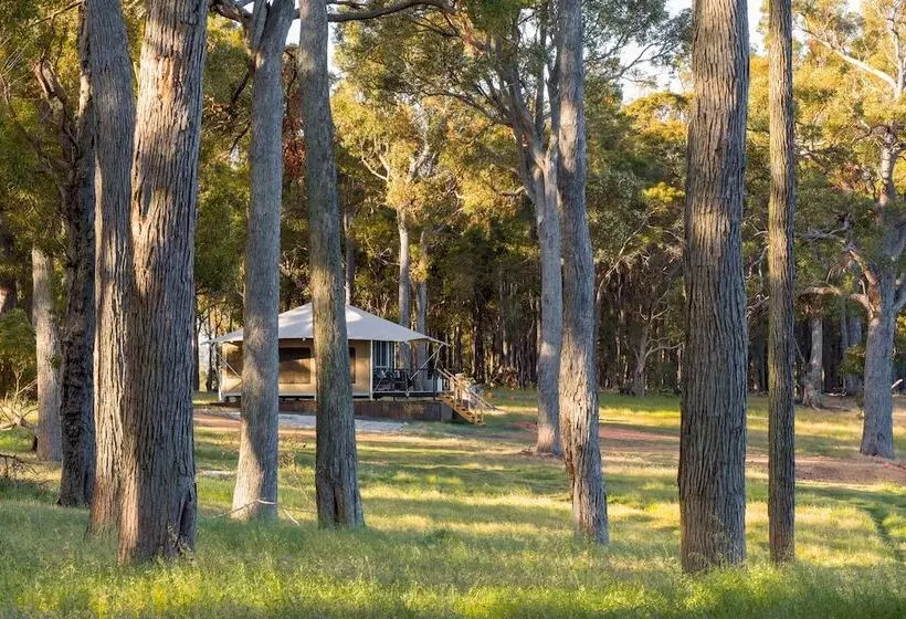 ホテル Serenity Gully