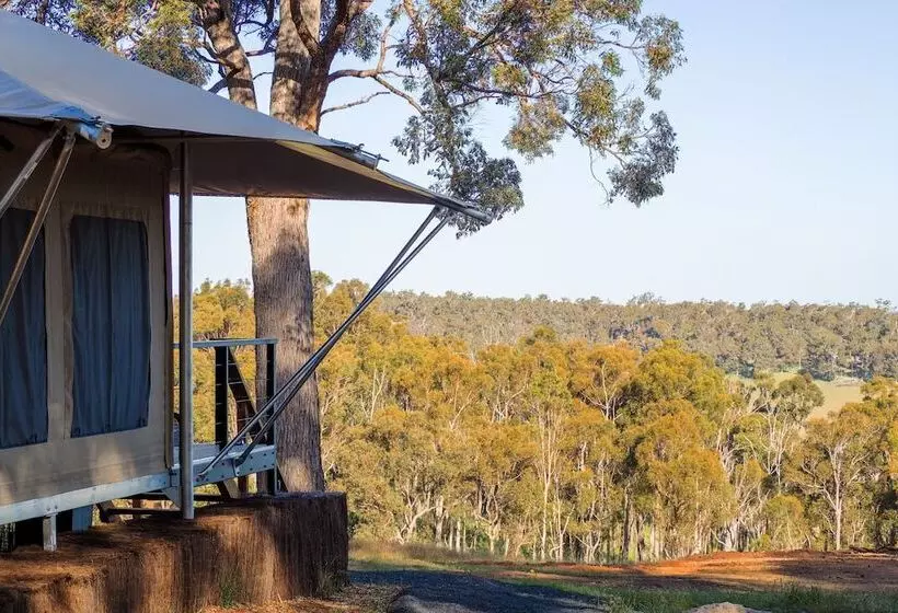 ホテル Serenity Gully