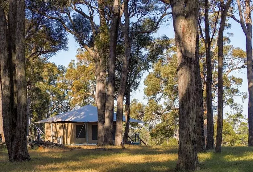 ホテル Serenity Gully