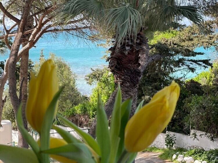 فندق Yaso S Suites