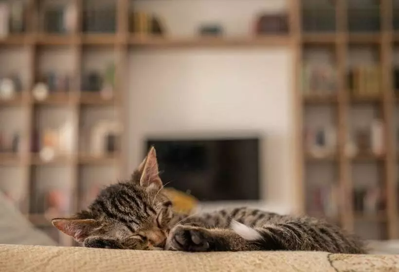 Hotelli Yaso S Suites