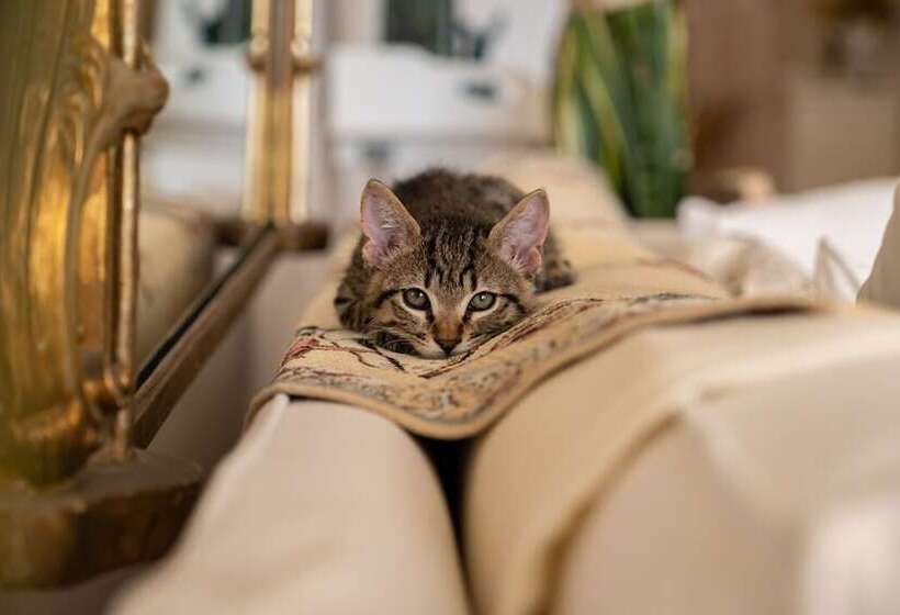 فندق Yaso S Suites