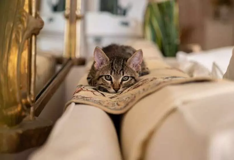 Hotelli Yaso S Suites