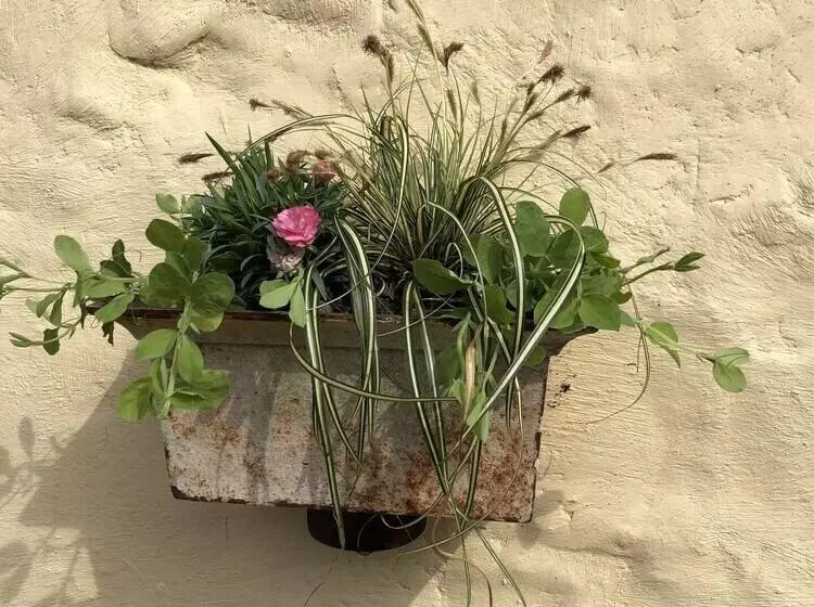 Impeccable 3 Bed 17th Century Luxury Cottage