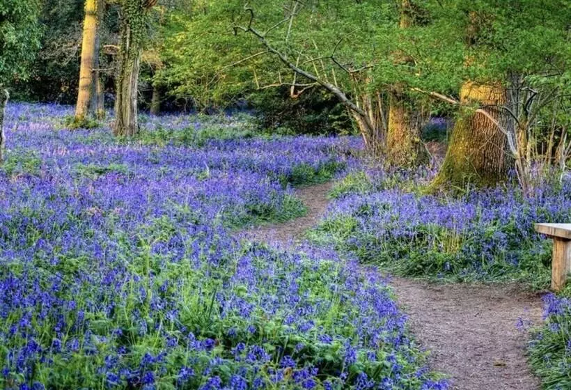 Impeccable 3 Bed 17th Century Luxury Cottage