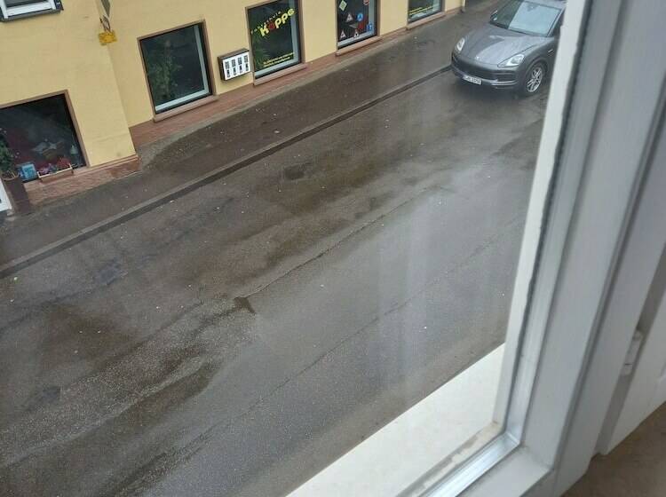 Pansiyon Gasthaus Adler Double Room With Private Bathroom And Garden View