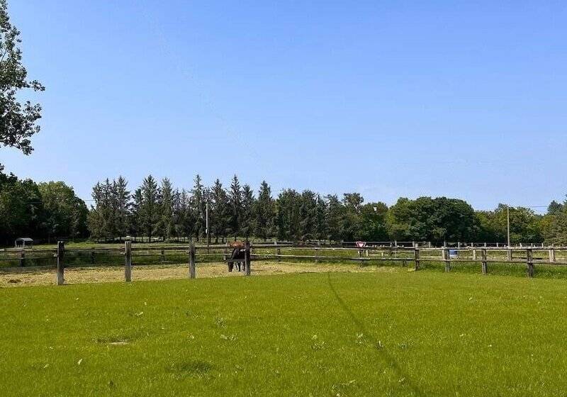 膳宿费 Le Gîte Du Haras D Havetot