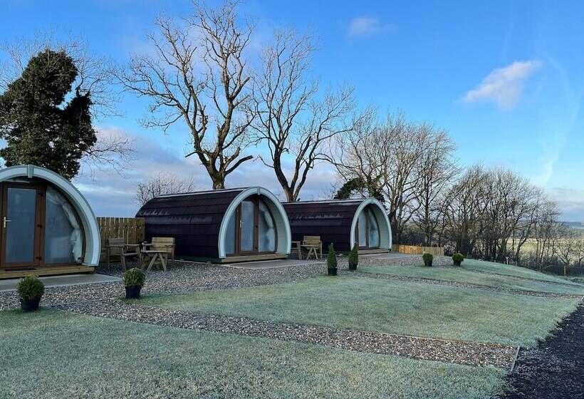 펜션 North Coast 9 Glamping