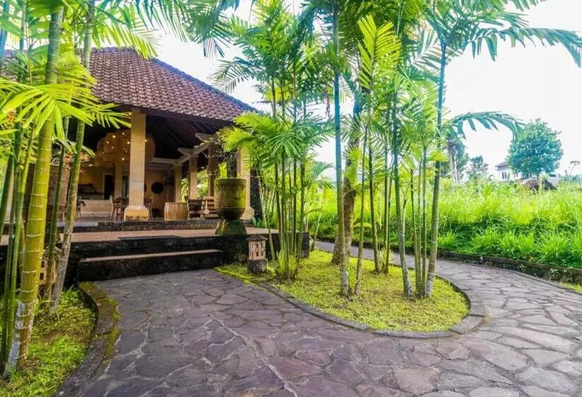 ペンション Pelangi Villas Sidemen