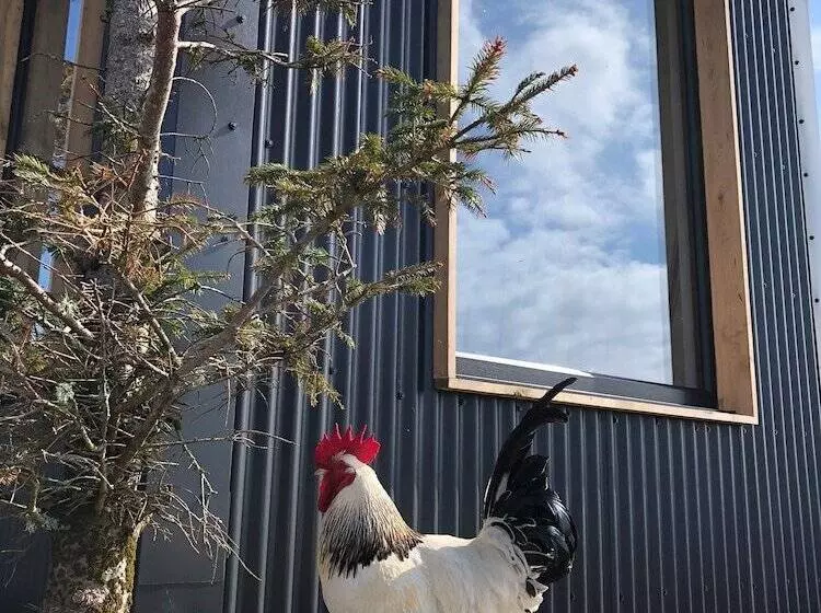 Stunning 1 Bed Tiny Home In Isle Of Skye