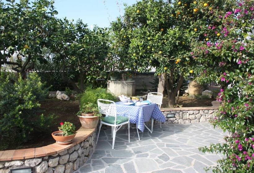 B&b Casetta Minghitto