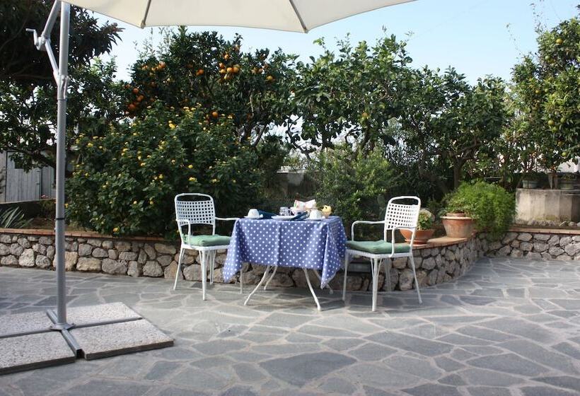 B&b Casetta Minghitto