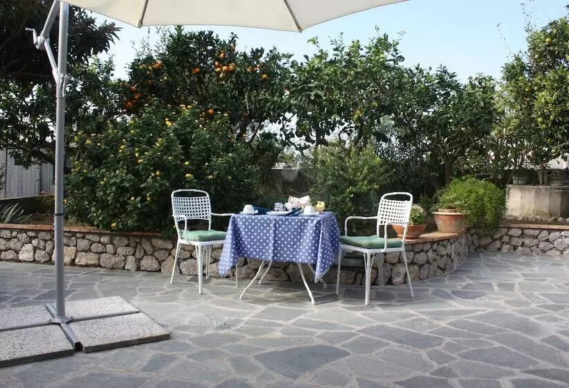 B&b Casetta Minghitto