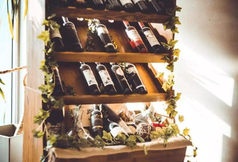 مسافرخانه Novak