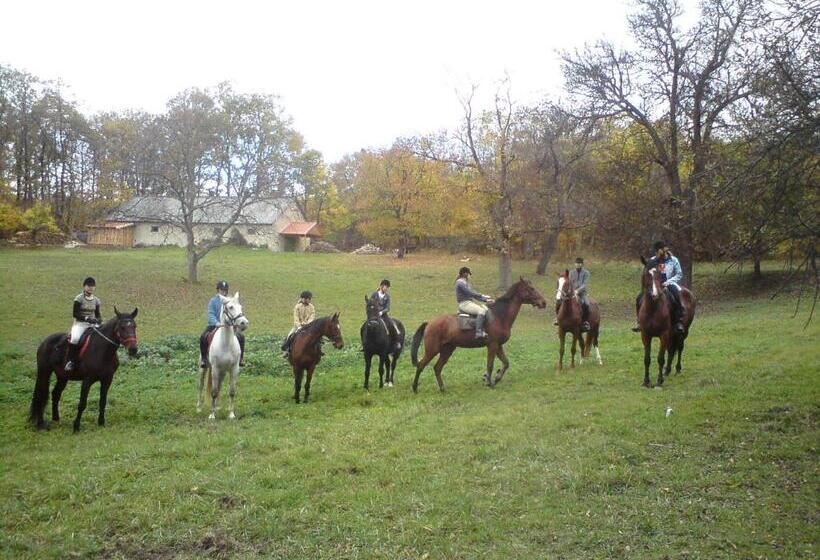 酒店 Andrea Wellness Garden