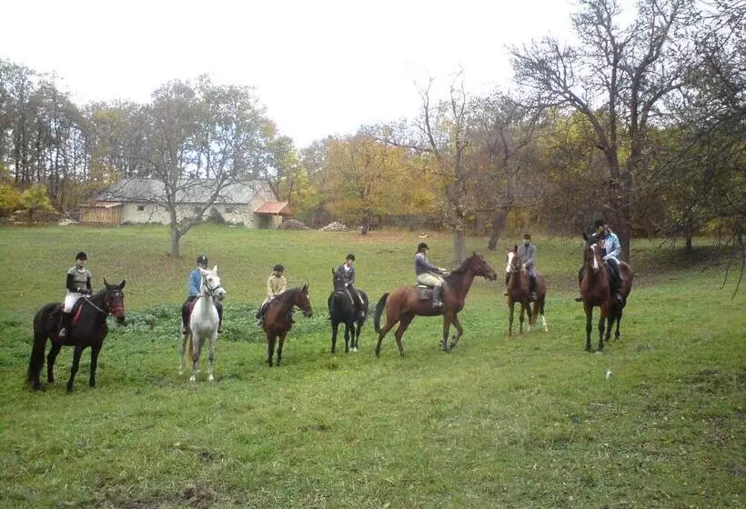 هتل Andrea Wellness Garden