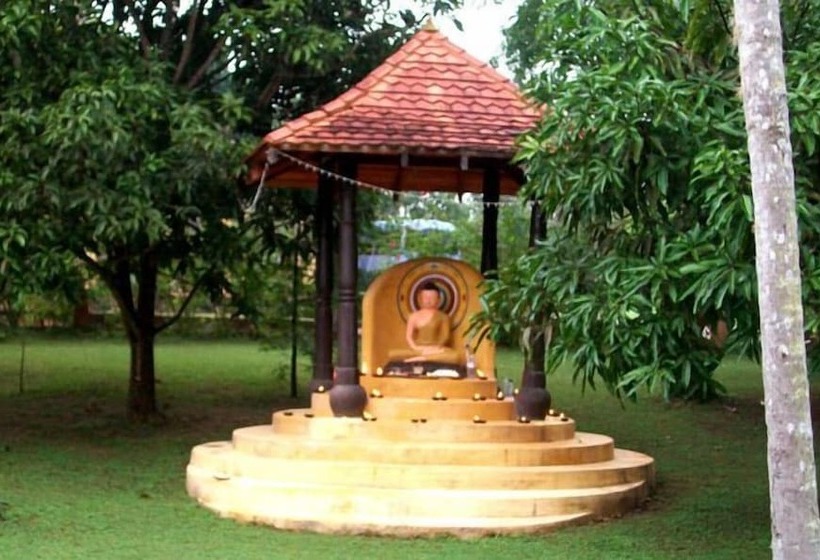 Eva Lanka Hotel   Beach & Wellness