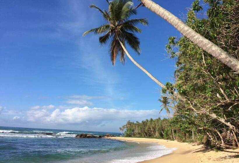 Eva Lanka Hotel   Beach & Wellness