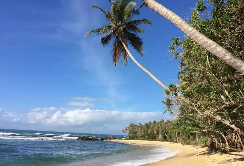 Eva Lanka Hotel Beach & Wellness