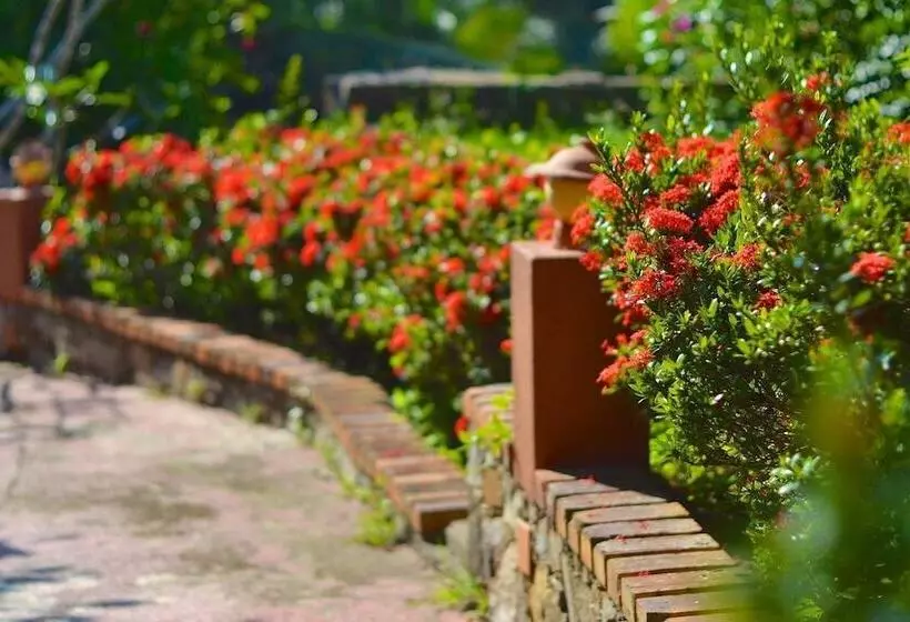 Eva Lanka Hotel Beach & Wellness