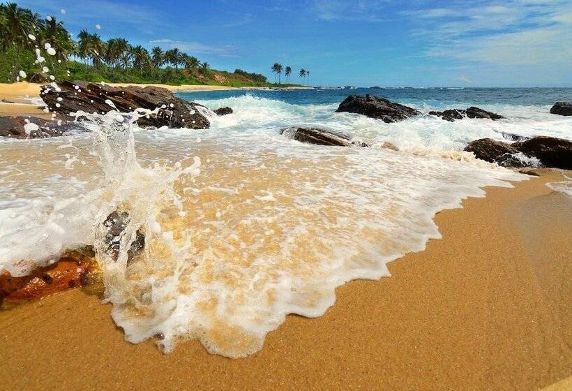 Eva Lanka Hotel   Beach & Wellness